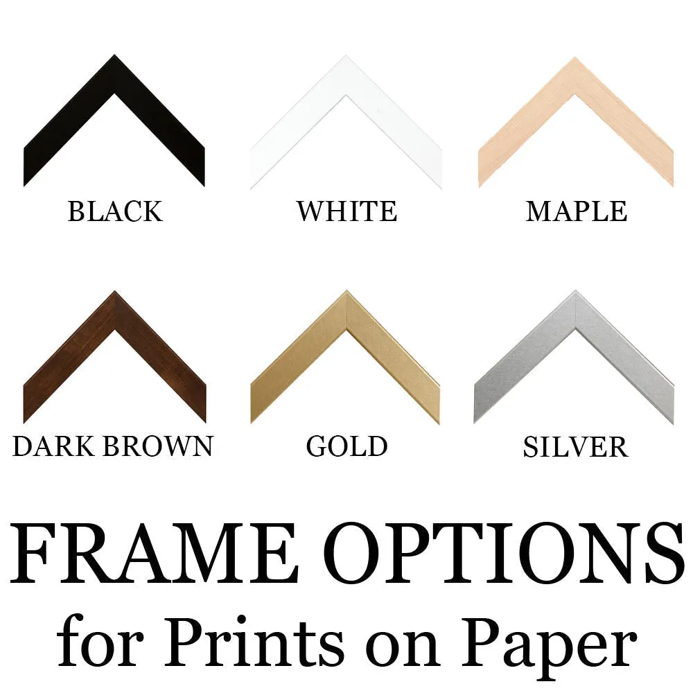 Graystone Neutral